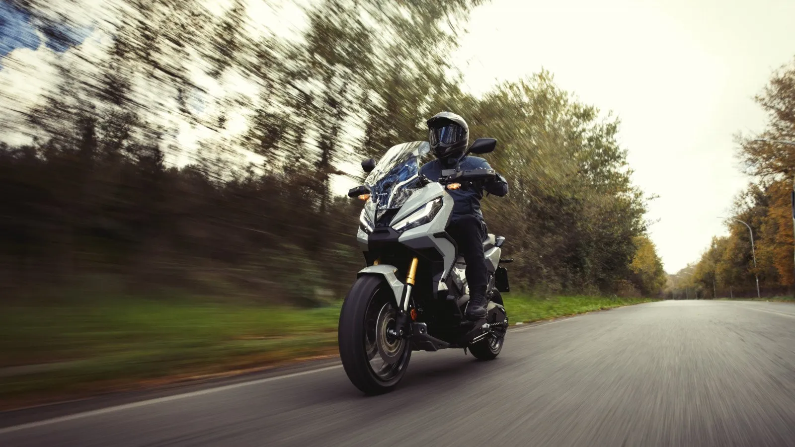 Immagine di Moto Honda X-ADV in viaggio su strada in ambiente forestale.